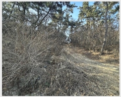  2025Ÿ��10111 ��� ���ֱ� ������ �븮 ��7-6      ����(�Ӿ�)���