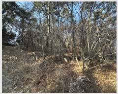  2025Ÿ��10111 ��� ���ֱ� ������ �븮 ��7-6      ����(�Ӿ�)���