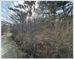  2025Ÿ��10111 ��� ���ֱ� ������ �븮 ��7-6      ����(�Ӿ�)���