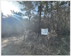  2025Ÿ��10111 ��� ���ֱ� ������ �븮 ��7-6      ����(�Ӿ�)���