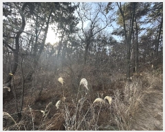  2025Ÿ��10111 ��� ���ֱ� ������ �븮 ��7-6      ����(�Ӿ�)���