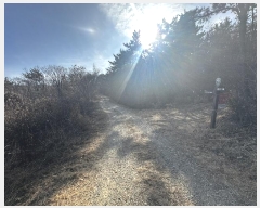  2025Ÿ��10111 ��� ���ֱ� ������ �븮 ��7-6      ����(�Ӿ�)���