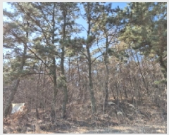  2025Ÿ��10111 ��� ���ֱ� ������ �븮 ��7-6      ����(�Ӿ�)���