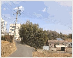  2025Ÿ��11363 ��� ���ֱ� �ﳲ�� ������ 978-1      ����(����)���