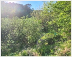  2025Ÿ��11576  ����