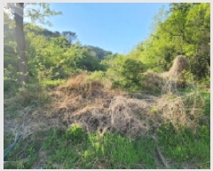  2025Ÿ��11576  ����