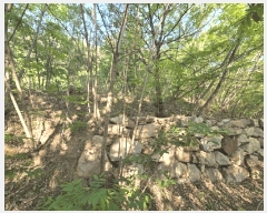  2025Ÿ��11629  �Ӿ߰��