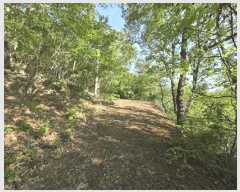  2025Ÿ��11629  �Ӿ߰��