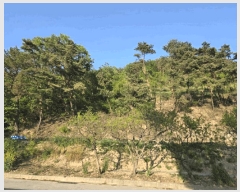  2025Ÿ��11629  �Ӿ߰��