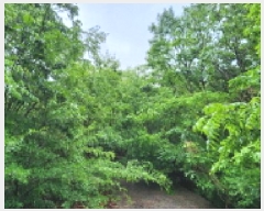  2025Ÿ��11629  �Ӿ߰��