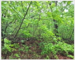  2025Ÿ��11629  �Ӿ߰��