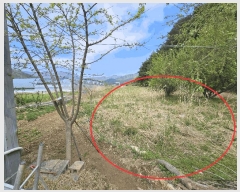  2025Ÿ��11644  ����