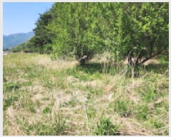  2025Ÿ��11644  ����