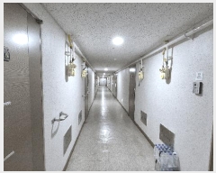  2025Ÿ��11661  ��������Ȱ���ð��