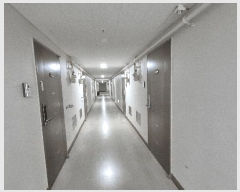  2025Ÿ��11661  ��������Ȱ���ð��