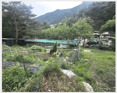  2025Ÿ��11681  ����