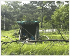  2025Ÿ��11681  ����