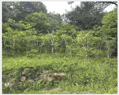  2025Ÿ��11681  ����