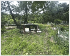  2025Ÿ��11681  ����