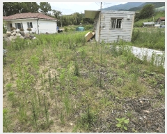  2025Ÿ��11702 ��� ���ֱ� ��ϸ� ������ 572-3      ����(����)���