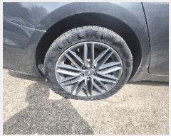  2025Ÿ��11889  �������