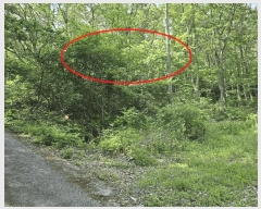  2025Ÿ��11926 ��� ���ֱ� ������ ȭ�긮 ��62-9      ����(�Ӿ�)���