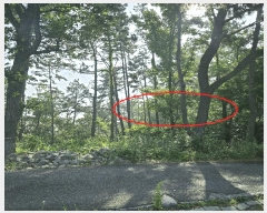  2025Ÿ��11926 ��� ���ֱ� ������ ȭ�긮 ��62-9      ����(�Ӿ�)���