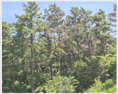  2025Ÿ��11926  �Ӿ߰��