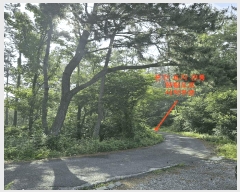  2025Ÿ��11926 ��� ���ֱ� ������ ȭ�긮 ��62-9      ����(�Ӿ�)���