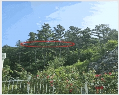  2025Ÿ��11926 ��� ���ֱ� ������ ȭ�긮 ��62-9      ����(�Ӿ�)���