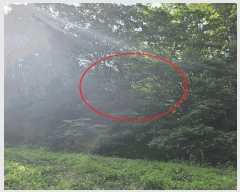  2025Ÿ��11926 ��� ���ֱ� ������ ȭ�긮 ��62-9      ����(�Ӿ�)���