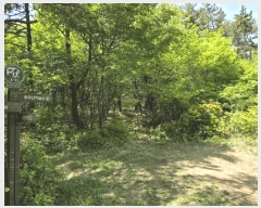  2025Ÿ��121  �Ӿ߰��