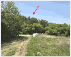  2025Ÿ��121  �Ӿ߰��