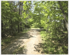  2025Ÿ��121  �Ӿ߰��