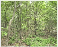  2025Ÿ��121  �Ӿ߰��