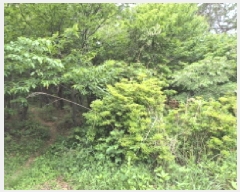  2025Ÿ��121  �Ӿ߰��