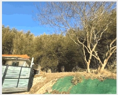  2025Ÿ��626 ��� ���ֱ� �ﵿ�� ���ϸ� ��42-6      ����(�Ӿ�)���