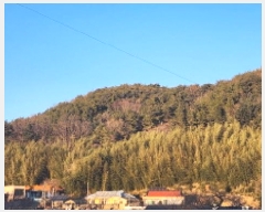  2025Ÿ��626 ��� ���ֱ� �ﵿ�� ���ϸ� ��42-6      ����(�Ӿ�)���