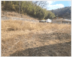  2025Ÿ��884  �Ӿ߰��