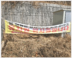  2025Ÿ��884  �Ӿ߰��