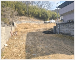  2025Ÿ��884  �Ӿ߰��