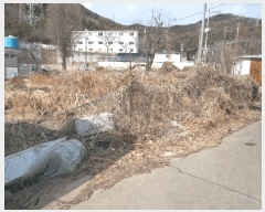  2025Ÿ��932  ����