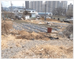  2025Ÿ��932  ����