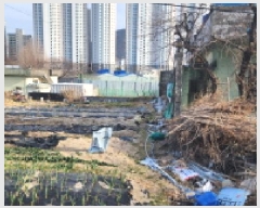  2025Ÿ��932  ����