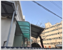  2025Ÿ��1235 ��� �߱� ��� 115-2       ���ð��