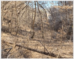  2025Ÿ��11294 ��� ���ֱ� �μ��� ������ 227      ����(��)���