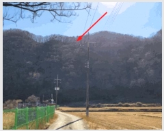  2025Ÿ��11294 ��� ���ֱ� �μ��� ������ 227      ����(��)���