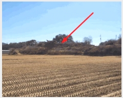  2025Ÿ��11294 ��� ���ֱ� �μ��� ������ 227      ����(��)���