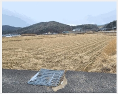  2025Ÿ��11341  ����