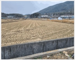  2025Ÿ��11341  ����